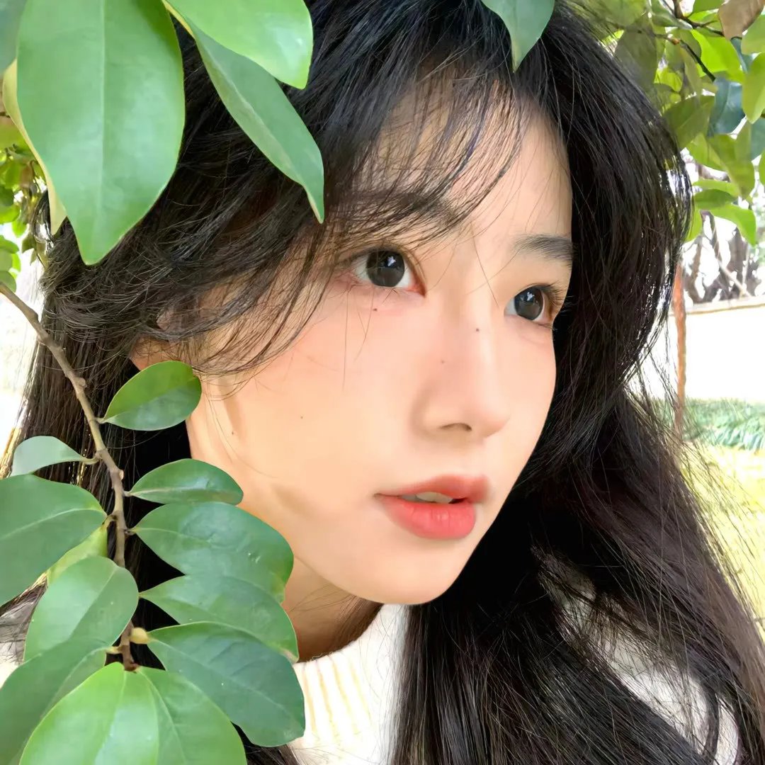 虚构推理第二季